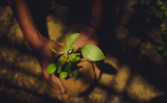 �����B(y��ng)���ٜy�x 